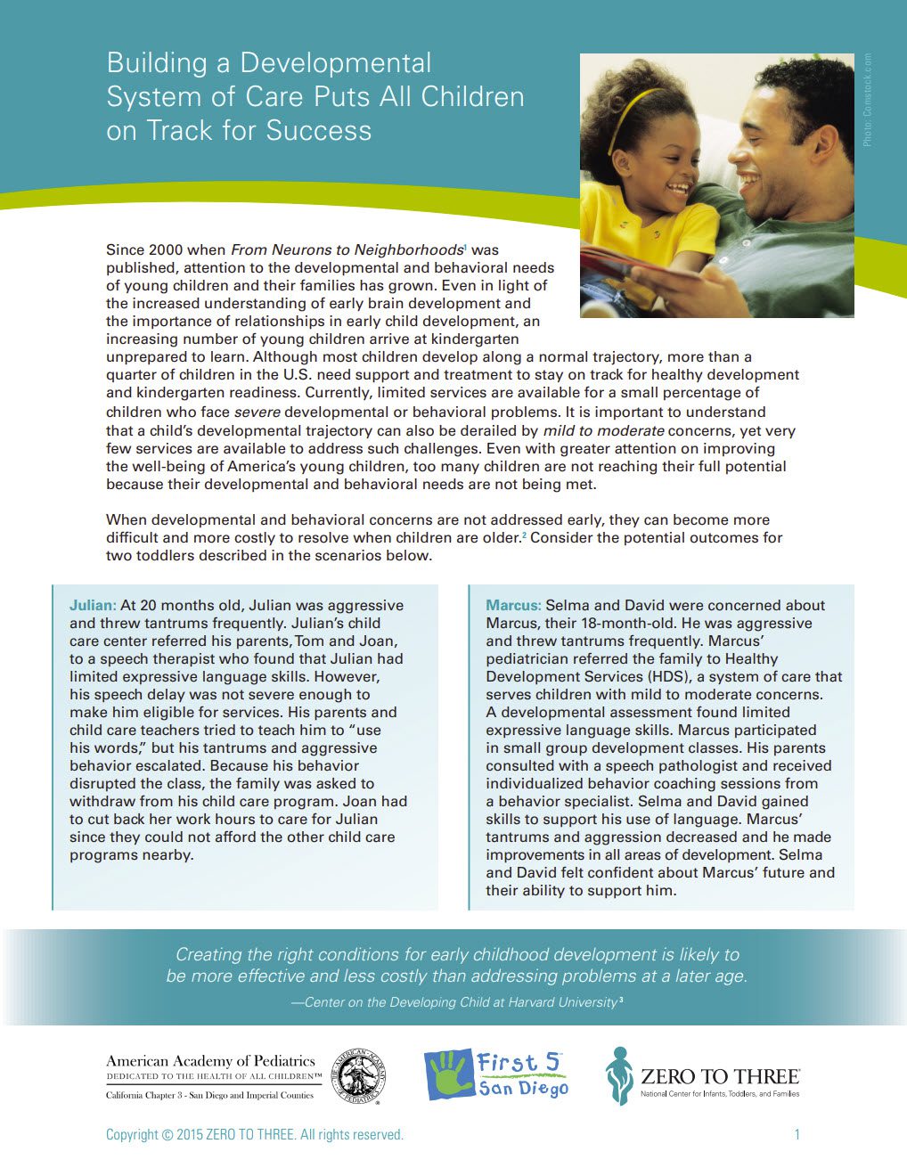 AAP ZZT Dev Services Policy Brief